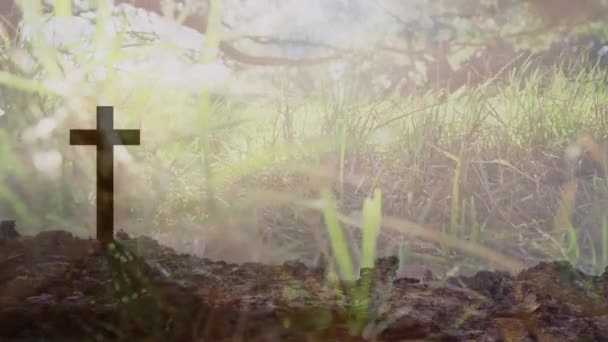 Animatie Van Silhouet Van Christelijk Kruis Natuur Zon Bomen Gras — Stockvideo