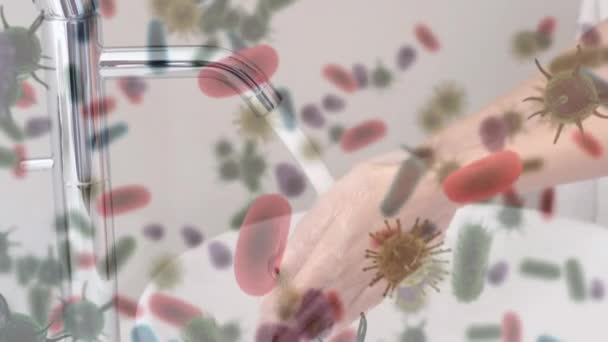 Animazione Macrovirus Cellule Coronavirus Covid Che Diffondono Una Donna Che — Video Stock