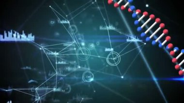Arka planda bağlantı ağı ve veri işleme ağı üzerinde kusursuz bir döngü içinde dönen üç boyutlu çift sarmal DNA ipliğinin animasyonu. Küresel biyoloji araştırma bilimi konsepti dijital olarak oluşturulmuş görüntü.