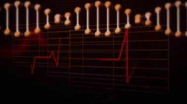Arka planda kalp atış hızı monitörü taraması ile kusursuz bir döngü içinde dönen üç boyutlu çift sarmal DNA ipliği animasyonu. Küresel biyoloji araştırma bilimi konsepti dijital olarak oluşturulmuş görüntü.