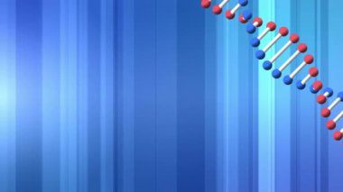 Arka planda titreşen mavi çizgiler üzerinde kusursuz bir döngü içinde dönen üç boyutlu çift sarmal DNA ipliğinin animasyonu. Küresel biyoloji araştırma bilimi konsepti dijital olarak oluşturulmuş görüntü.