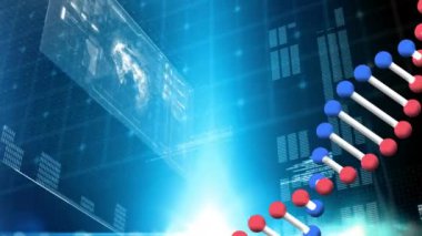 Arka planda veri işleme ve dünya haritası ile ekranın üzerinde kusursuz bir döngü içinde dönen üç boyutlu çift sarmal DNA iplikçiklerinin animasyonu. Küresel biyoloji araştırma bilimi konsepti dijital olarak oluşturulmuş görüntü.