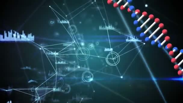 Animación Una Hebra Adn Doble Hélice Girando Bucle Transparente Través — Vídeo de stock