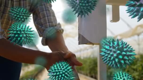 Bir Tarım Serasında Ellerini Yıkayan Adamın Üzerine Yayılan Makro Koronavirüs — Stok video