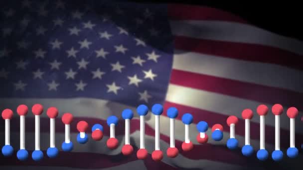 背景に手を振っているアメリカ国旗の上にシームレスなループで回転する3D二重らせんDna鎖のアニメーション グローバル生物学研究コンセプトデジタル生成画像 — ストック動画