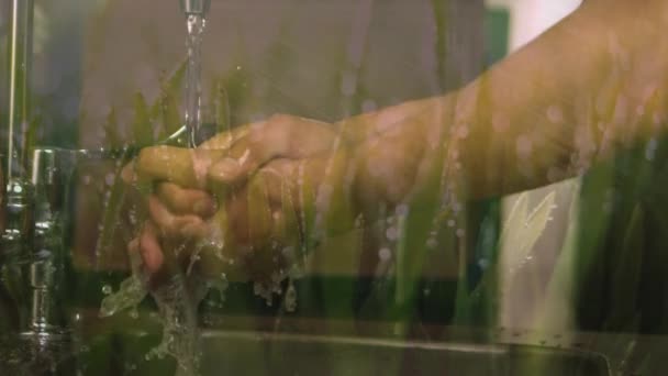 コロナウイルスの間の流しで彼の手を洗う男のアニメーションは 背景に緑の草の刃で 19の流行をCovid — ストック動画