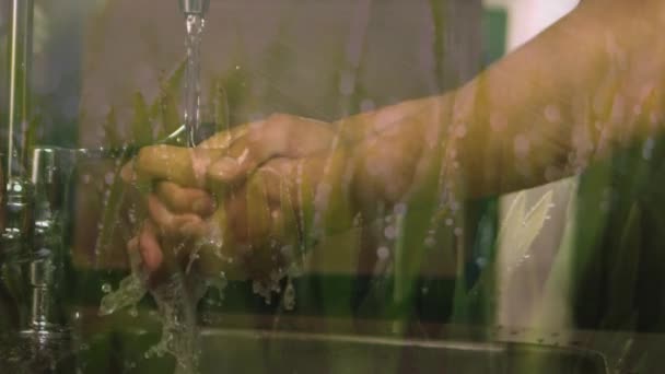 Animación Hombre Lavándose Las Manos Bajo Grifo Lavabo Durante Epidemia — Vídeos de Stock