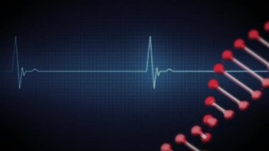 Arka planda kalp atış hızı monitörü kaydı üzerinde kusursuz bir döngü içinde dönen 3D çift sarmal DNA ipliği animasyonu. Küresel biyoloji araştırma bilimi konsepti dijital olarak oluşturulmuş görüntü.