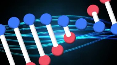 Üç boyutlu çift sarmallı DNA iplikçiklerinin animasyonu. Arka planda mavi ışık izleri sallanarak kusursuz bir döngü içinde dönüyorlar. Küresel biyoloji araştırma bilimi konsepti dijital olarak oluşturulmuş görüntü.