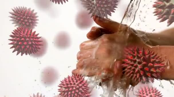 Animatie Van Het Macrocoronavirus Covid Cellen Die Zich Verspreiden Mens — Stockvideo