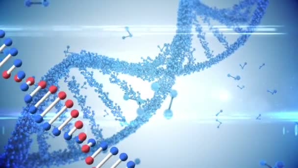 Animering Två Dubbel Spiral Dna Strängar Roterande Sömlös Loop Över — Stockvideo