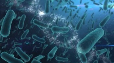 Coronavirus Covid 19 'un makro hücrelerinin yayılması, mavi arka planda dönen DNA iplikçikleri. Küresel tıp halk sağlığı Coronavirüs Covid pandemik konsepti dijital olarak oluşturulmuş görüntü.