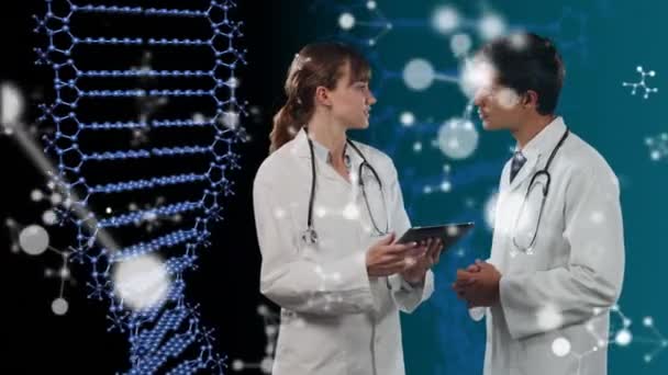 Animación Dos Médicos Discutiendo Usando Una Tableta Digital Sobre Cepas — Vídeos de Stock