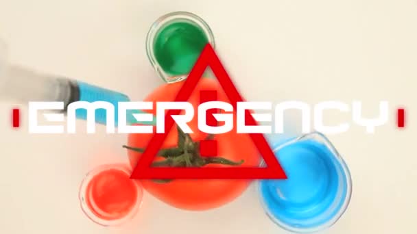 Animation Word Emergency Written Red Triangle Warning Road Sign Exclamation — Stock Video