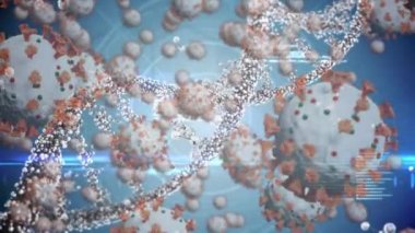 Coronavirus Covid-19 'un makro hücrelerinin DNA iplikçiklerine yayılması ve mavi arka planda veri işlemesi. Tıp genetiği bilimi Coronavirus Covid salgını konsepti dijital olarak oluşturulmuş görüntü.