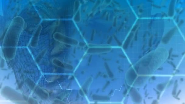 コロナウイルスのマクロ細胞のアニメーション青色の背景に回転するヒトの頭部や化学構造にCovid 19が広がっている 医学遺伝学科学コロナウイルスCovidパンデミックの概念デジタル的に生成された画像 — ストック動画