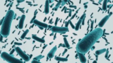 Birden fazla makro yeşil hücrenin animasyonu, Coronavirus Covid 19 beyaz arka planda yayılıyor ve enfekte oluyor. Halk sağlığı koronavirüsü salgını dijital olarak üretilen görüntü konsepti.