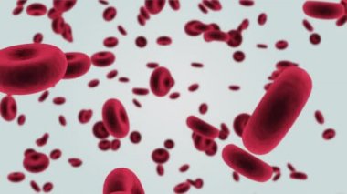 Beyaz zemin üzerinde Coronavirus Covid 19 enfeksiyonuyla savaşmaya hazır çoklu makro kırmızı kan hücrelerinin animasyonu.