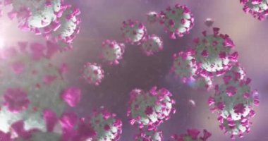Mor arka planda sıvı içinde yüzen makro Coronavirus Covid-19 hücrelerinin animasyonu. İlaç halk sağlığı salgını Coronavirus Covid 19 salgın kavramı dijital olarak üretilen görüntü.