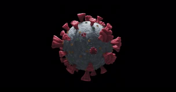 Animación Una Célula Macro Covid Coronavirus Girando Sobre Fondo Negro — Vídeo de stock