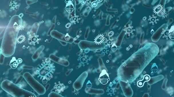Animation Cellules Macro Covid Dessin Flottant Sur Fond Bleu Coronavirus — Video
