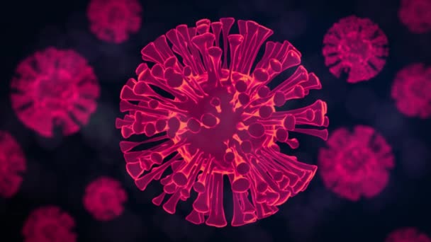 Animation Glowing Pink Macro Coronavirus Covid Cells Spreading Dark Background — Stock Video