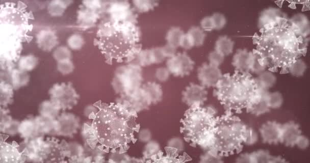 Анимация Белых Перчаточных Макроклеток Ковид Красном Фоне Глобальная Пандемия Коронавируса — стоковое видео