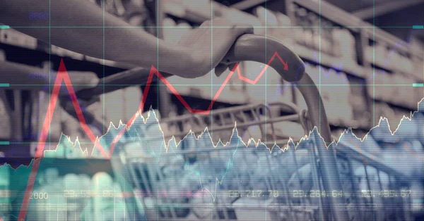 Digitale Illustratie Van Een Persoon Die Winkelt Gegevensregistratie Statistieken Financiering — Stockfoto