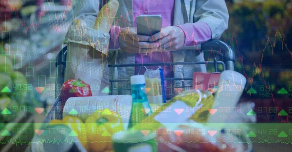 Digitale Illustration Einer Frau Beim Einkaufen Smartphone Über Datenerfassung Und — Stockfoto