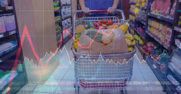 Ilustração Digital Uma Pessoa Fazendo Compras Por Gravação Dados Estatísticas — Fotografia de Stock