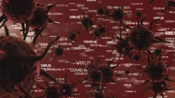 宏Covid 19细胞的动画和字Covid 19病毒在红色背景上漂浮 全球大流行病Coronavirus Covid — 图库视频影像