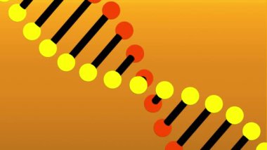 Sarı arka planda pembe bir çemberde dönen DNA gerilim ikonu animasyonu. - Evet. Coronavirus Covid-19 salgın DNA konsepti dijital bileşik
