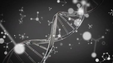 Gri arka planda yüzen moleküller ve kimyasal elementlerle dönen gümüş bir DNA türünün animasyonu. Coronavirus Covid-19 salgın DNA konsepti dijital bileşik