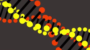 Sarı arka planda pembe bir çemberde dönen iki DNA ikonunun canlandırması. Coronavirus Covid-19 salgın DNA konsepti dijital bileşik