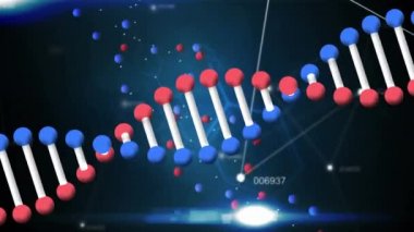 Mavi ve siyah arkaplanda bir ağ ile dönen bir DNA türünün animasyonu. Coronavirus Covid-19 salgın DNA konsepti dijital bileşik