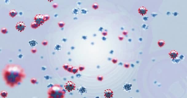 Animation de cellules macro Covid-19 flottant sur fond blanc. Pandémie mondiale de coronavirus Covid 19 concept épidémie composition numérique 