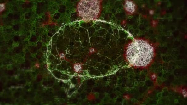 複数の分子が浮かんでいるアニメーション 接続の緑のウェブ上の接続で作られた人間の脳 コロナウイルスCovid 19パンデミックDnaコンセプトデジタル複合体 — ストック動画