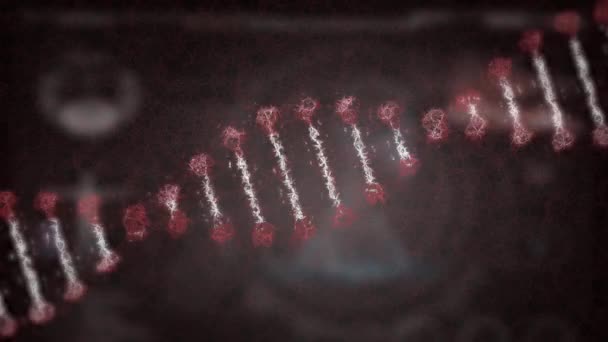 Animace Dna Kmene Který Točí Kolem Modelu Lidského Těla Coronavirus — Stock video