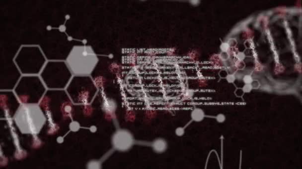 Анимация Штамма Днк Вращающегося Помощью Молекул Химических Элементов Плавающих Моделью — стоковое видео