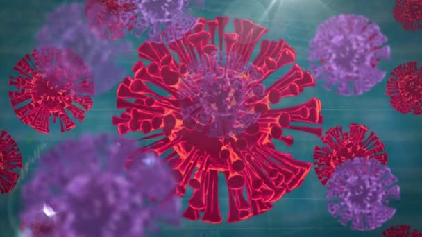 Animatie Van Macro Covid Cellen Drijvend Een Blauwe Achtergrond Coronavirus — Stockvideo