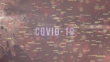 Covid-19 kelimesinin animasyonu Covid-19 ve makro Covid-19 hücre simgeleri üzerinde yüzüyor. Coronavirus Covid-19 pandemik konsept dijital bileşik