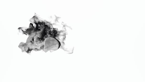 Animation Einer Schwarzen Rauchwolke Die Auf Weißem Hintergrund Erscheint Und — Stockvideo