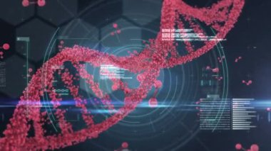 Kırmızı moleküllerden oluşan bir DNA türünün üzerindeki makro Covid-19 hücresinin dijital çizimi. Coronavirus Covid-19 pandemik konsept dijital bileşik