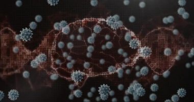 Kırmızı bağlantılardan yapılmış üç boyutlu insan beyni modeli üzerinde yüzen makro Covid-19 hücrelerinin dijital çizimi, dönüyor. Coronavirus Covid-19 pandemik konsept dijital bileşik