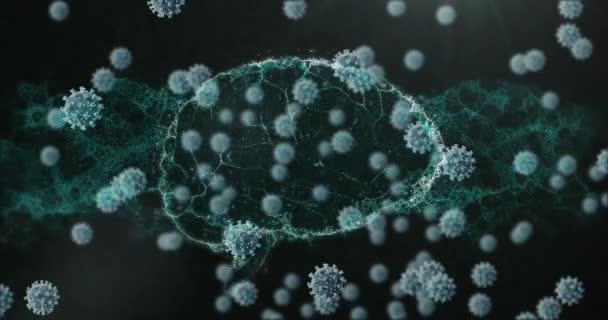 Ψηφιακή Απεικόνιση Μακροεντολών Κυττάρων Covid Που Αιωρούνται Πάνω Από Έναν — Αρχείο Βίντεο