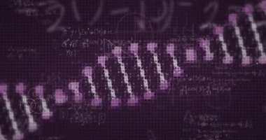 Mor zemin üzerinde yüzen matematiksel formüllerin ve DNA türlerinin animasyonu. Coronavirus Covid-19 pandemik konsept dijital bileşik.