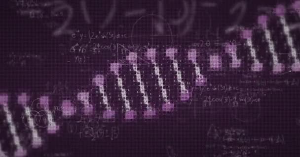 Animación Fórmulas Matemáticas Cepa Adn Flotando Sobre Fondo Púrpura Compuesto — Vídeos de Stock