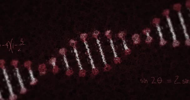 Animación Fórmulas Matemáticas Cepa Adn Flotando Sobre Fondo Rojo Compuesto — Vídeo de stock