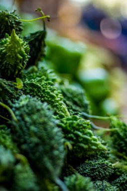 Piyasadaki acı kabağın en üst görüntüsü - Acı kabak ya da Karela (Hindistan 'da) olarak da bilinen acı kavun, yiyecek ya da ilaç olarak kullanılabilecek eşsiz bir sebze-meyvedir.