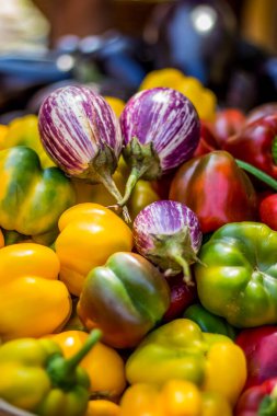 brinjal ve vegatabel capsicum mix color, Bell Pepper Misticanza. Biberler ev bahçelerinde yetiştirilen en popüler sebzelerden biridir. Çan biberi Orta ve Kuzey Amerika 'ya özgüdür..